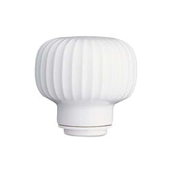 Hammersh&oslash;i kvernknopp, hvit, K&auml;hler