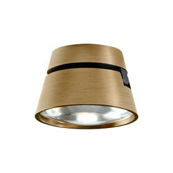 VANTAGE 1 spot, brass, LIGHT-POINT