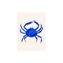 Cangrejo de Noche, THE POSTER CLUB