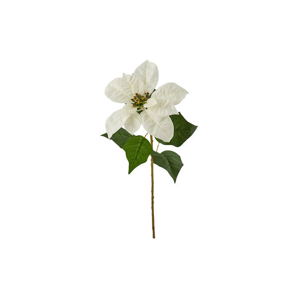 Julestjerne, hvit, EDG