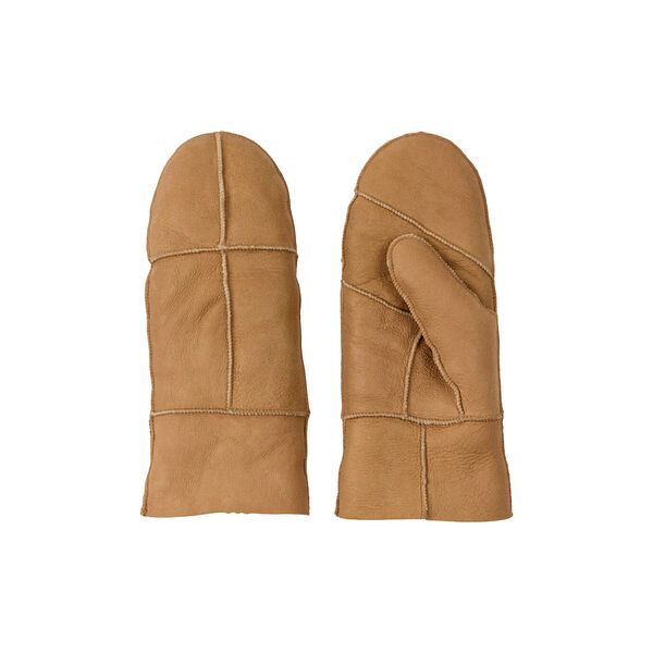 ICE votter, camel, Bella Ballou