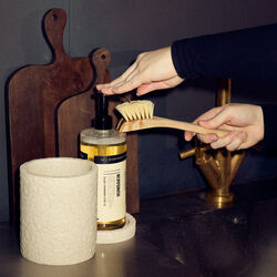 01 Oppvaskmiddel, Salvie & Havtorn, Humdakin