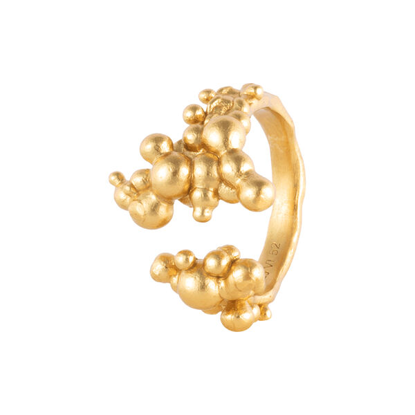 ORB CHRONICLES RING, forgylt, House of Vincent