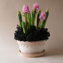 K&oslash;benhavner RAW Low &Oslash; 25 cm potte, Rosa, Bergs Potter