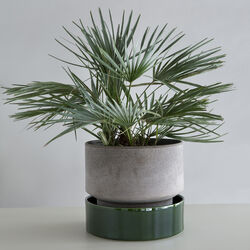 Hoff GLAZED underfat, emerald green, Bergs Potter