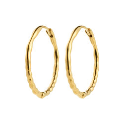 MELLOM b&oslash;yler, gullbelagt, Pilgrim