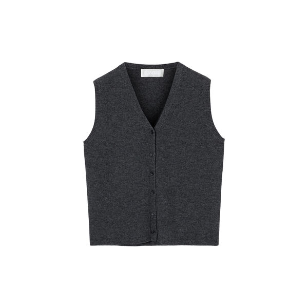 Charles Vest, charcoal gray, FWSS