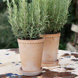 Helena RAW potte med underfat, rosa, Bergs Potter