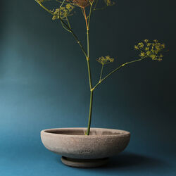 Ada RAW krukke med underfat, grey, Bergs Potter