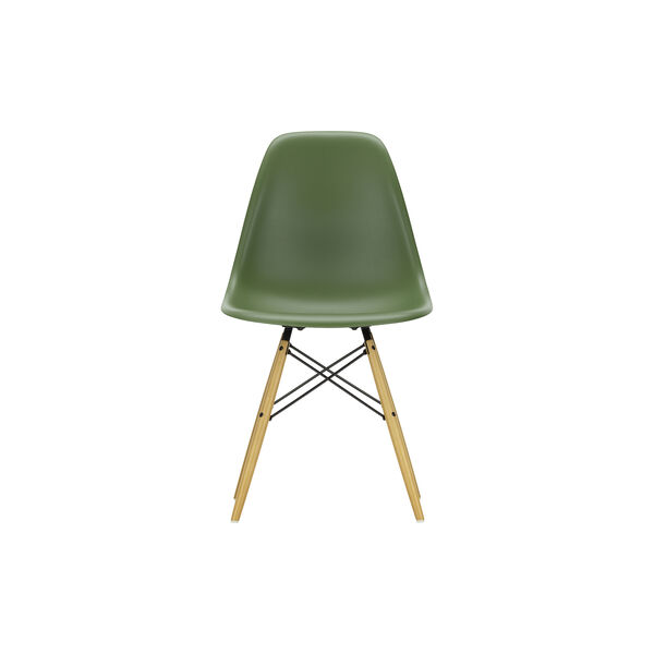 Eames DSW stol, forest/golden maple, Vitra 