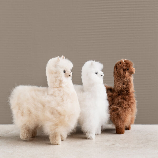 Teddy bear, beige, ELVANG