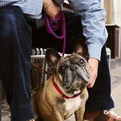 HAY Flettet Hundeb&aring;nd, red/blue, HAY