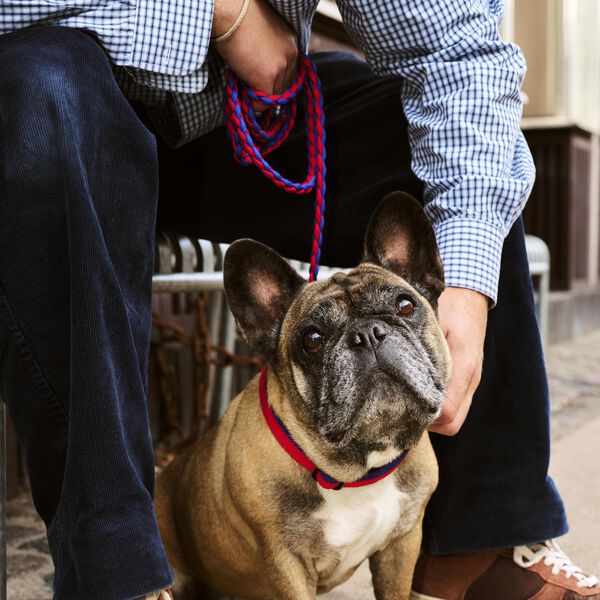 HAY Flettet Hundebånd, red/blue, HAY