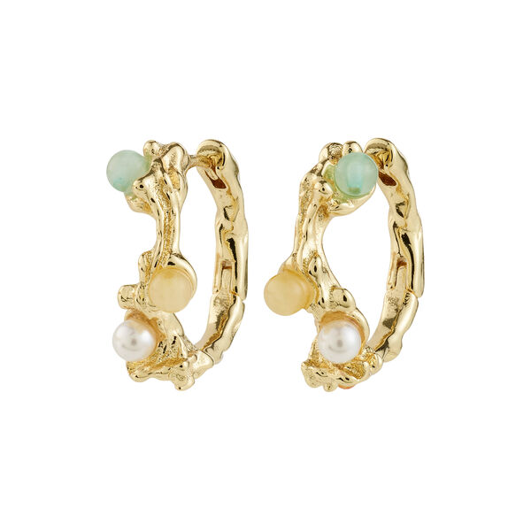 IRIS creoler, gullbelagt, Pilgrim