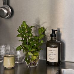 Mnemonic h&aring;nds&aring;pe MNC1, after the rain, &Tradition