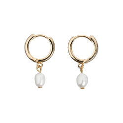 Pearl Small Hoop &oslash;reringer, gull, timi of Sweden
