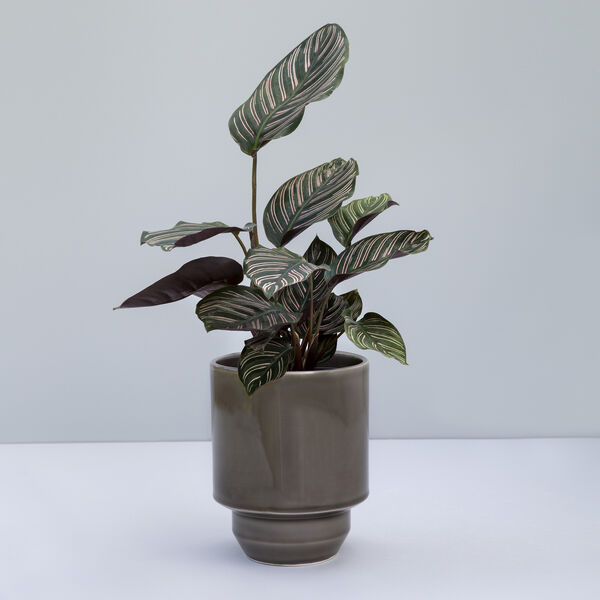 Hoff GLAZED &Oslash; 21 cm potte, pearl grey, Bergs Potter