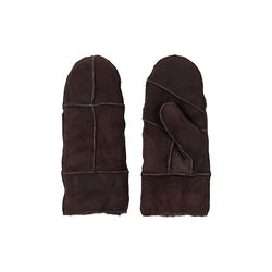 ICE&nbsp;votter, brown, Bella Ballou