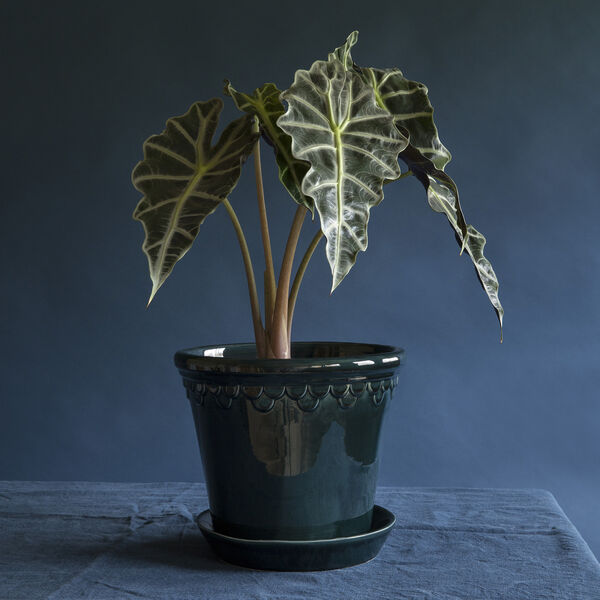 Københavner GLAZED krukke med underfat, petroleum blue, Bergs Potter