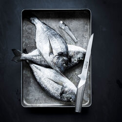 Knivsett i 2 deler G-21 & GS-63, Global