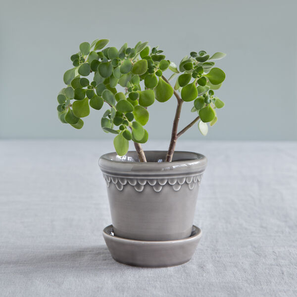 K&oslash;benhavner GLAZED krukke, pearl grey, Bergs Potter