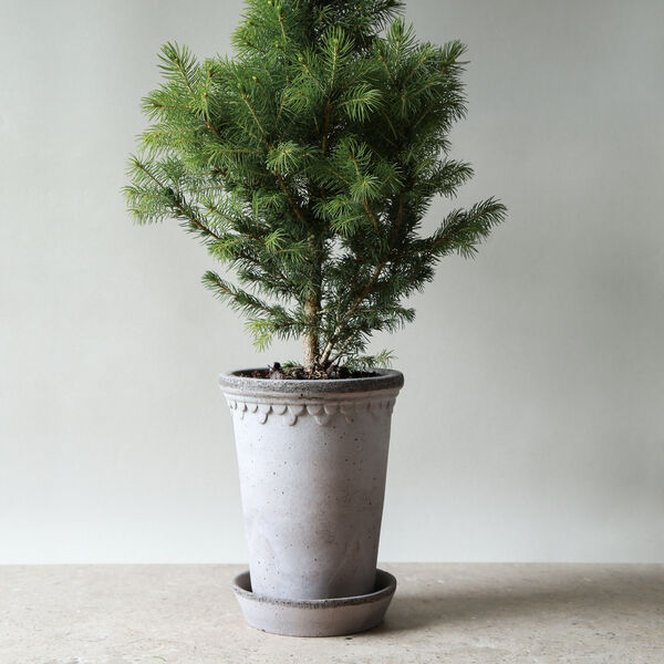 K&oslash;benhavner RAW Tall &Oslash; 14 cm potte, grey, Bergs Potter