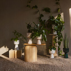 Nappula blomsterpotte small, hvit, Iittala