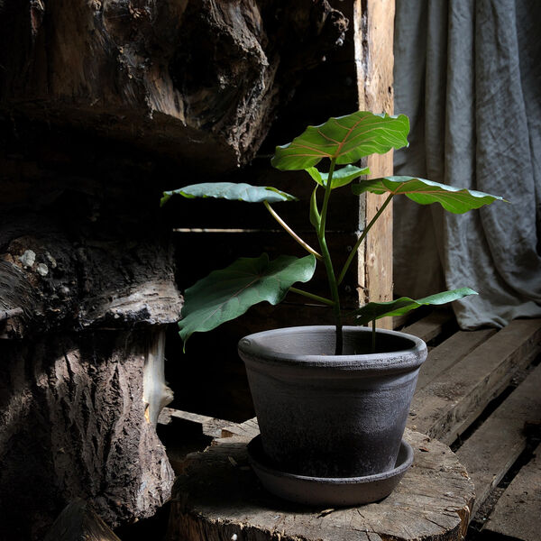 Parade RAW krukke med underfat, grey, Bergs Potter