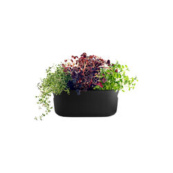 Nordic Kitchen selvvannende herb organiser