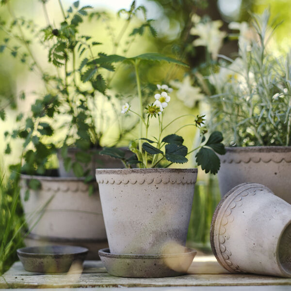 Helena RAW potte med underfat, grey, Bergs Potter