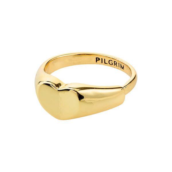 ARIN ring, gullbelagt, Pilgrim