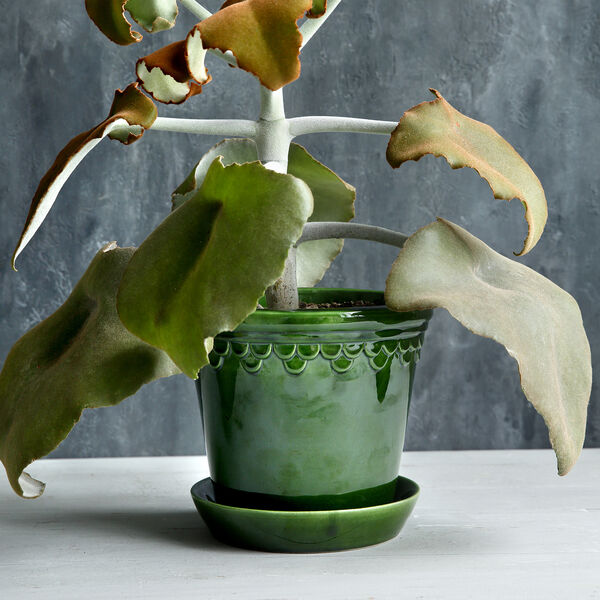 Københavner GLAZED krukke med underfat, emerald green, Bergs Potter