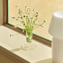 Tiny vase, clear, HAY