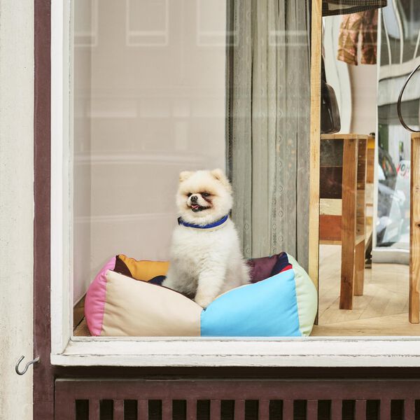 HAY Dogs Seng, multi, HAY