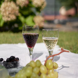 Crispy White hvitvinsglass 2 stk., klar, Frederik Bagger