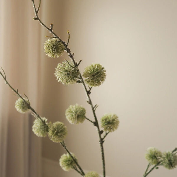 Thistle Ball Branch, grønn, Botané
