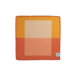 Syndin Sitteunderlag, Cloudberry