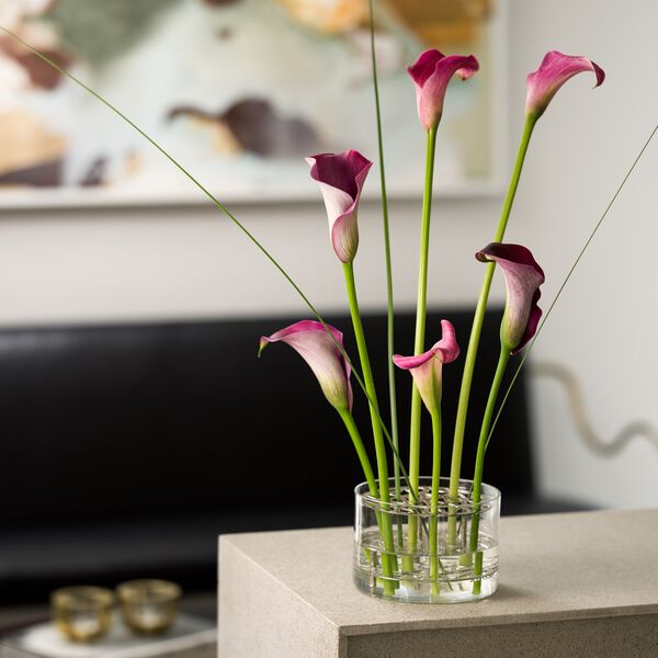 Äng vase liten, Klong