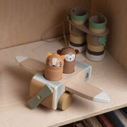 Wildlife Sebra fly, Sebra