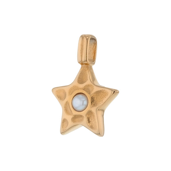 The Star anheng, gull, CAMILLA PIHL