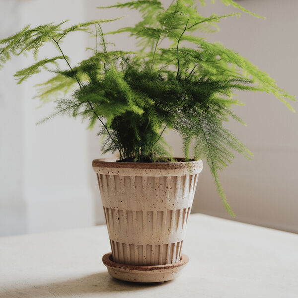 Pantheon RAW set, rosa, Bergs Potter