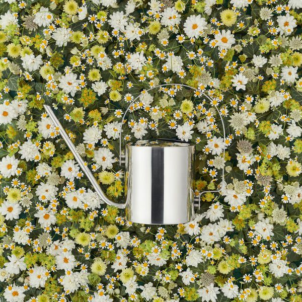 Original blomstervannkanne Original blomstervannkanne, Stelton