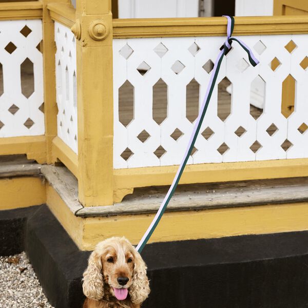 HAY Hundeb&aring;nd, lavender/green, HAY