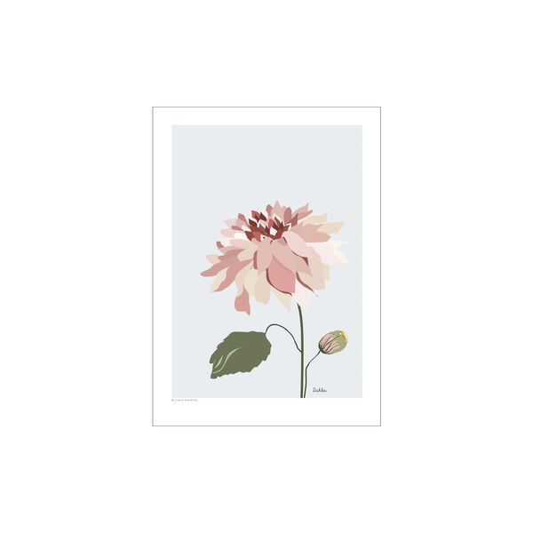 Dahlia, Poster & Frame