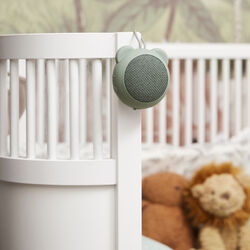 Roar Bluetooth h&oslash;yttaler, dusty green, Kreafunk