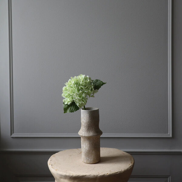 Hydrangea blomst, lysegrønn, Botané