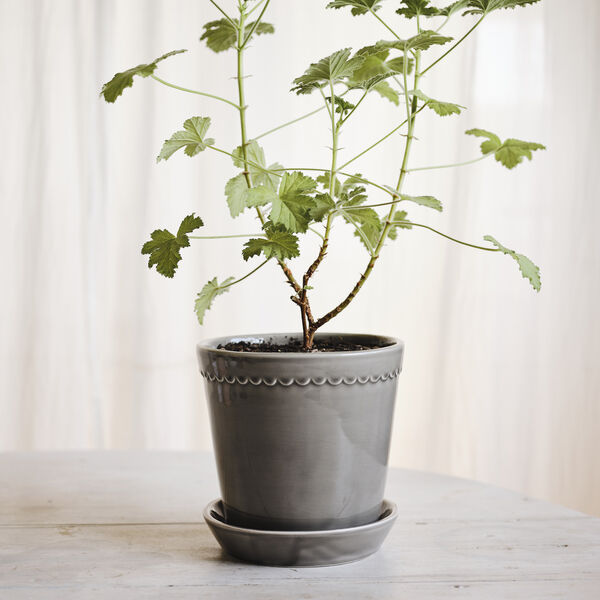 Helena GLAZED potte med underfat, pearl grey, Bergs Potter