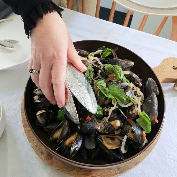 Sj&oslash;mat skje, Anovi