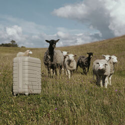 Day Tonal 20 Koffert, moon rock, DAY ET