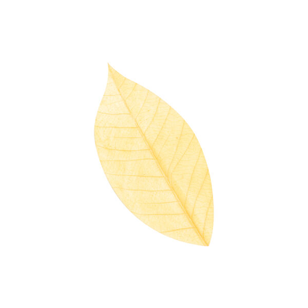 S&aring;peblad, gurkemeie, Stone Soap Spa